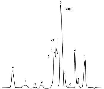 Образец хроматограммы товарного метил-трет-бутилового эфира на колонке с ТВИН-60