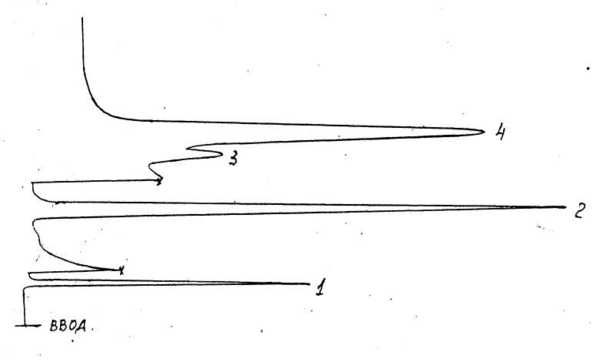 Рисунок 1. Образец хроматограммы